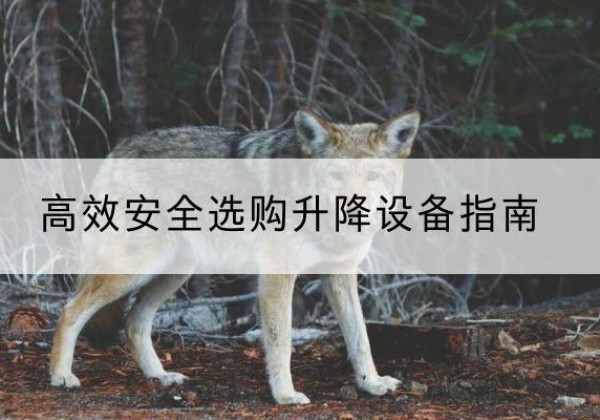 西塞山升降货梯厂家推荐-*安全选购升降设备指南