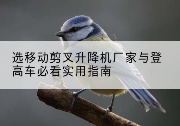 西塞山电动升降机厂家-选移动剪叉升降机厂家与登高车必看实用指南