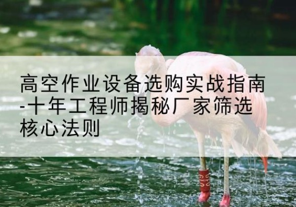 西塞山剪叉式升降机厂家-高空作业设备选购实战指南-十年工程师揭秘厂家筛选核心法则